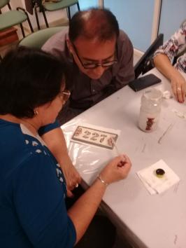 Taller para incentivar la neuroplasticidad cerebral en Metán