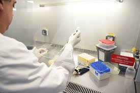 Perfiles biológicos la propuesta de REFLEJAR para equipos forenses