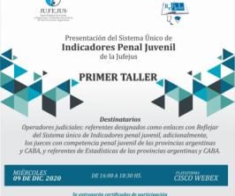 Taller sobre indicadores del sistema penal juvenil
