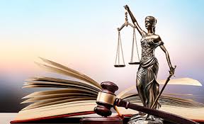 Diplomatura en derecho penal