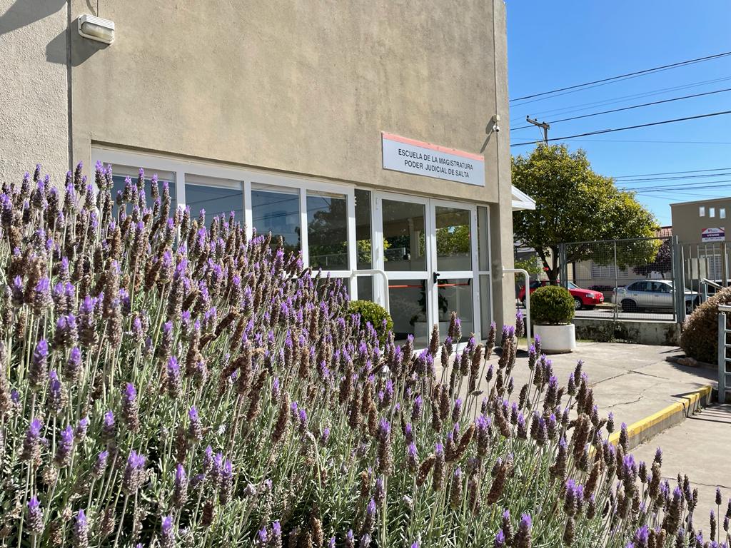 Nuevas líneas de investigación dentro del InEJu