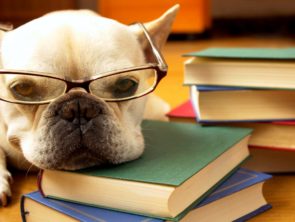 Nuevo ciclo de escritura creativa